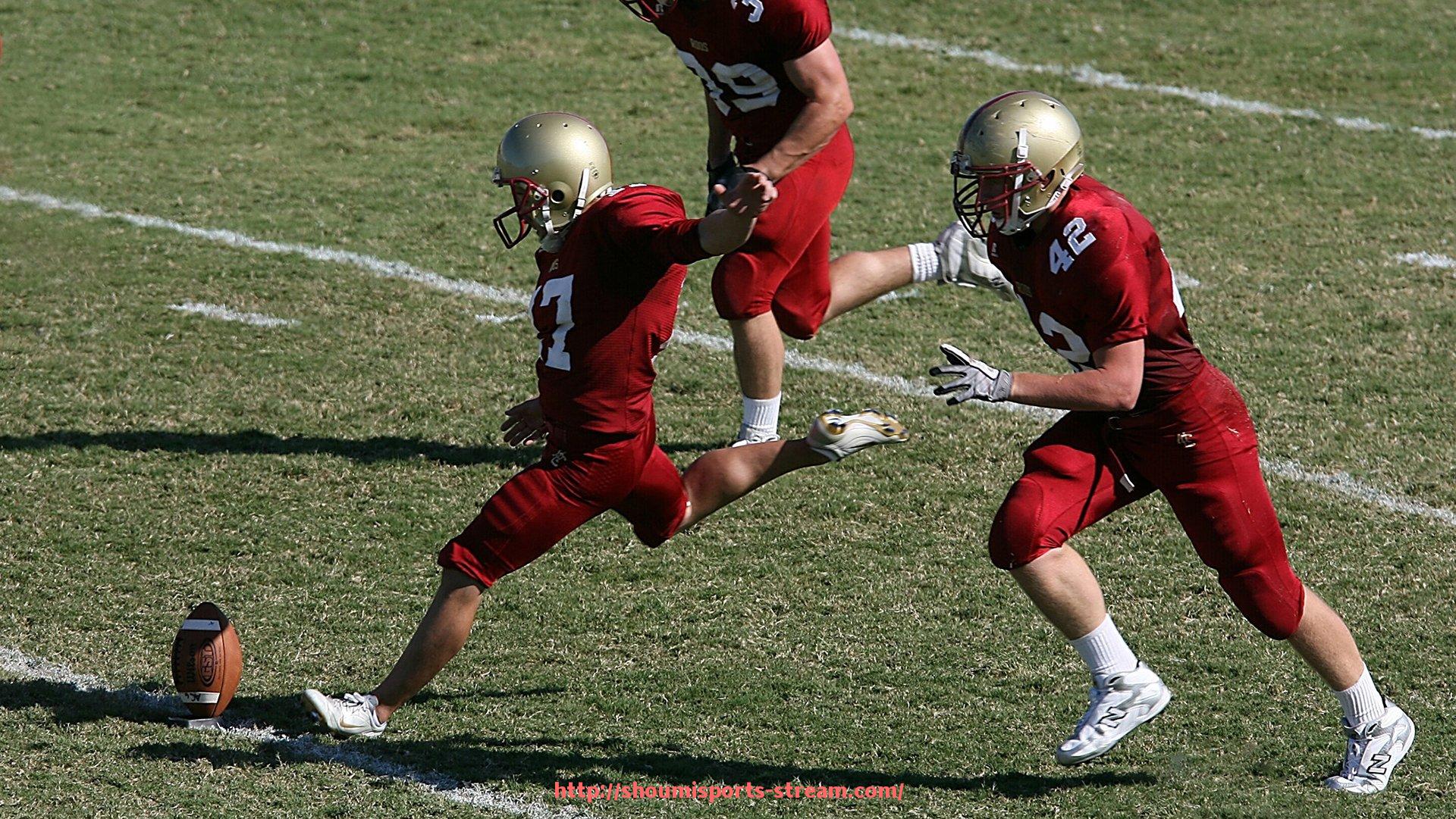 收米体育直播-生活健康健身器材种类及体育健身方案推荐